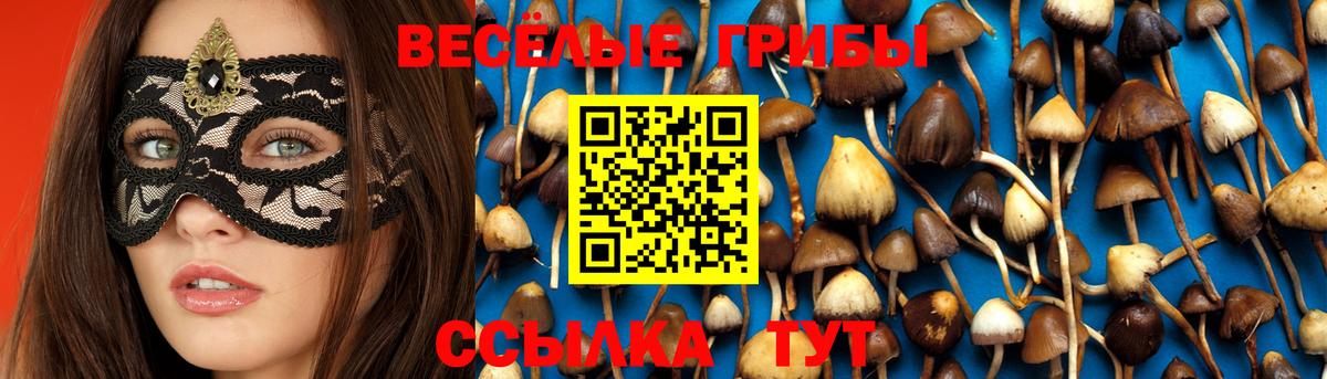 Галлюциногенные грибы Magic Shrooms Советская Гавань