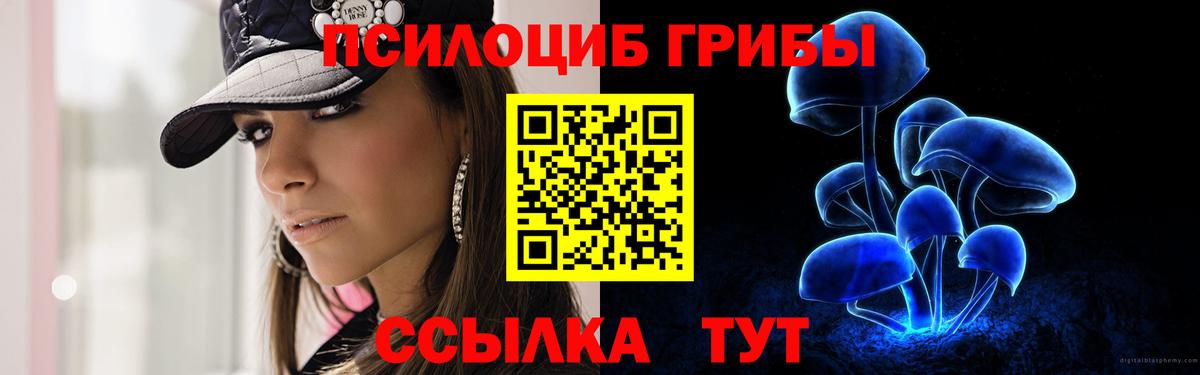 дарнет шоп  Вход с VPN  Советская Гавань  Псилоцибиновые грибы Psilocybine cubensis 